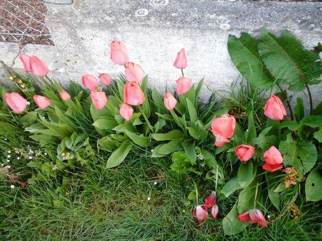 La Crielloise Villa Dış mekan fotoğraf